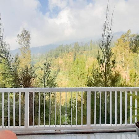 Delvia Bromo Homestay Mitra Reddoorz Pasuruan Exterior foto